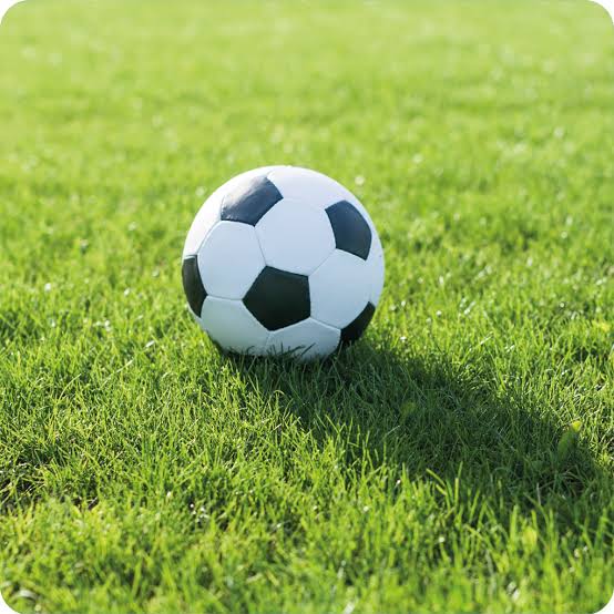 Serie D Girone I – 12ª giornata – Il big match é Vibonese – Vigor Lamezia. La Reggina deve cambiare&nbsp;rotta.